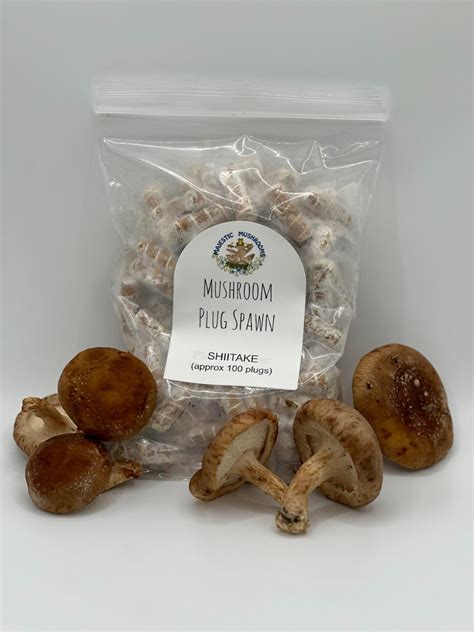 Amazon.com: Shiitake Mushroom Grain Spawn - 1 lb. Ready to Use - Grow