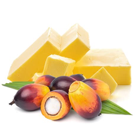 Hydrogenated Palm Kernel Oil Elburg Global