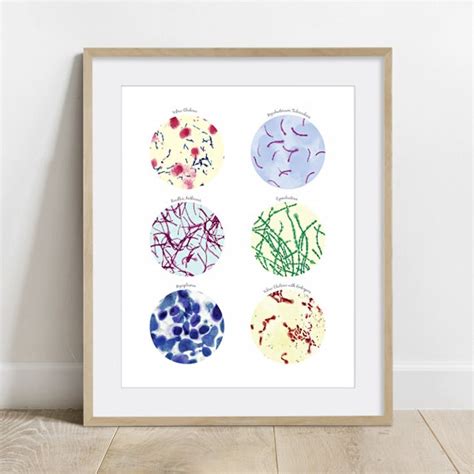 Bacteria Science Art poster science print wall decor 5 x 7 | Etsy