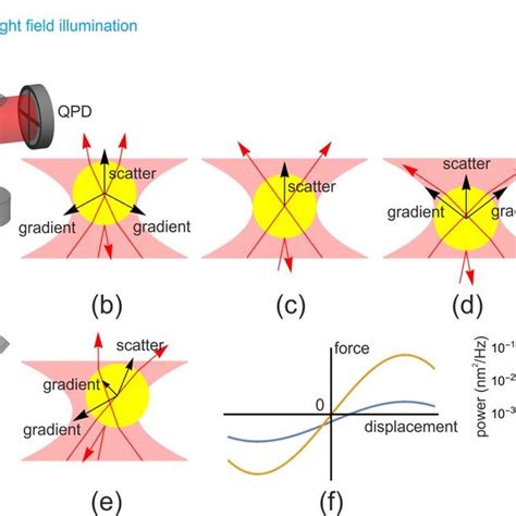 Schematics Of Optical Tweezers And Tweezing Forces A Key Optical