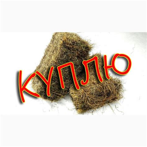 Куплю сено люцерны, Харьковская обл — Agro-Ukraine