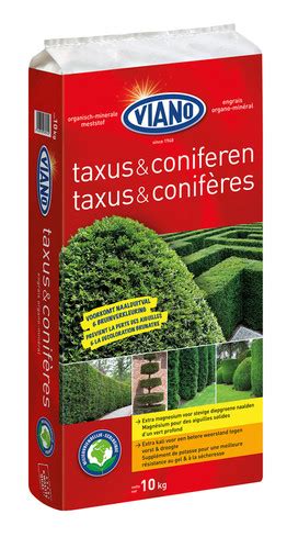 Viano Meststof Taxus Coniferen Viano