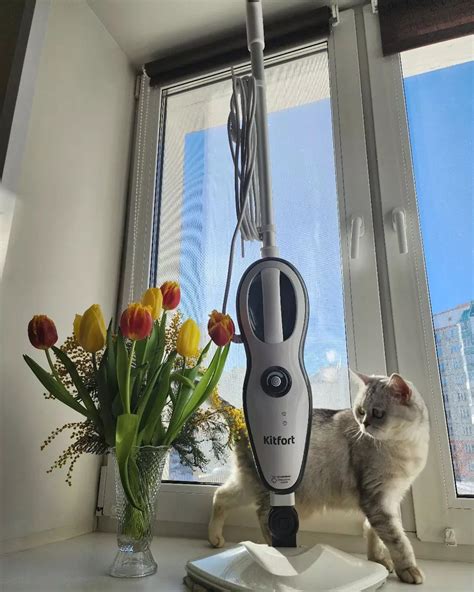 Ручная паровая швабра Kitfort KT-1008 - купить по цене 5 990 ₽: отзывы ...