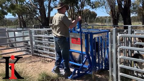 Kurraglen Farmhand Sheep And Goat Handler Catcher Youtube