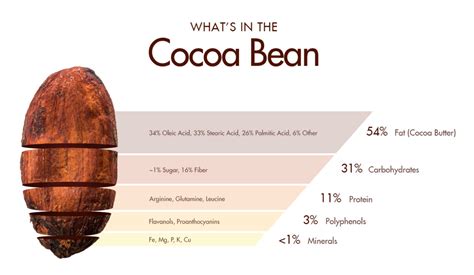 The Natural Benefits of Cocoa Butter