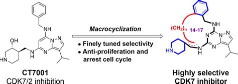 Design And Synthesis Of Novel Macrocyclic Derivatives As Potent And