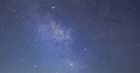 Silhouette Of Trees Under Starry Night Sky · Free Stock Photo