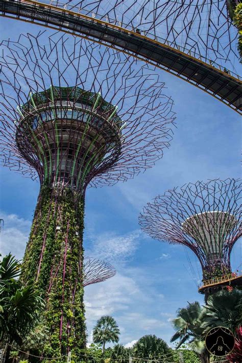 Que Faire À Singapour Les 10 Incontournables À Visiter En 2024