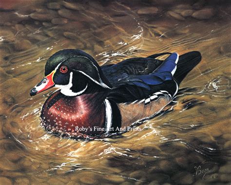 Wood Duck Painting at PaintingValley.com | Explore collection of Wood ...