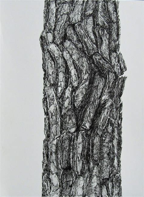 Trees Art Drawing Tree Trunk Drawing Texture Drawing