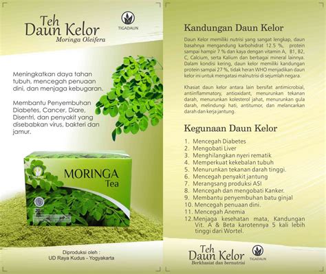 Teh Daun Kelor Jasa Maklon Teh Celup