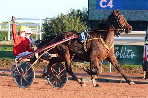 Vendredi D Cembre Cagnes Sur Mer Prix De La Vall E Des