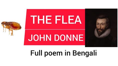 The Flea By John Donne Full Poem In Bengali ️📚 Youtube