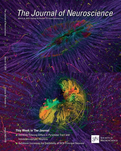 Table Of Contents — March 18 2015 35 11 Journal Of Neuroscience