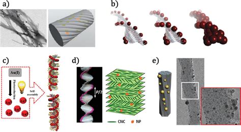 Typical Templates For Chiral Self‐assembly Of Plasmonic Download Scientific Diagram