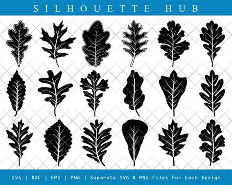 Oak Leaves Svg Cut Files Oak Leaves Silhouette Leaf Svg Etsy