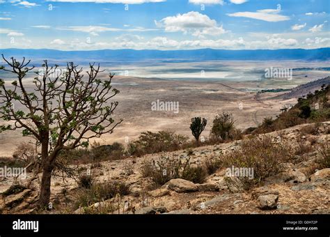 View From The Rim Into The Ngorongoro Crater Ngorongoro Conservation