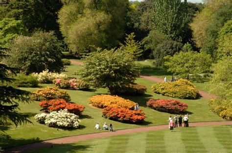 Royal Botanic Garden Edinburgh | VisitScotland