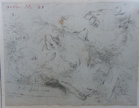 LOUP LOUVE et LOUVETEAU Dessin à la plume de Jean Baptiste HUET