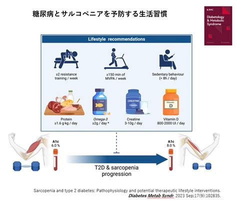 糖尿病とサルコペニアを予防する生活習慣 『大濠内科』循環器内科・糖尿病内科