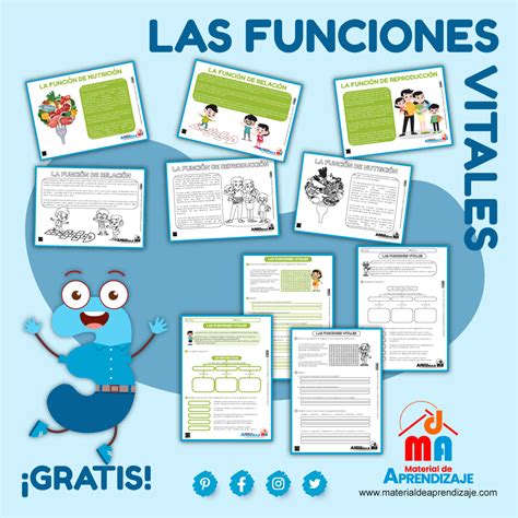 Funciones Vitales De La Planta Mind Map The Best Porn Website