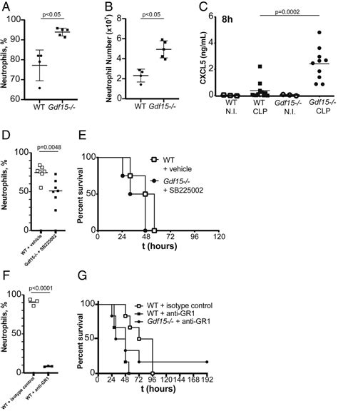 Cxcl Mediated Recruitment Of Neutrophils Into The Peritoneal Cavity Of