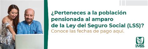 Pensiones En El IMSS