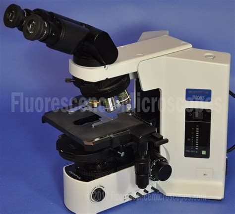 Fluorescence Microscopes Olympus Bx Upright Phase Contrast Microscope