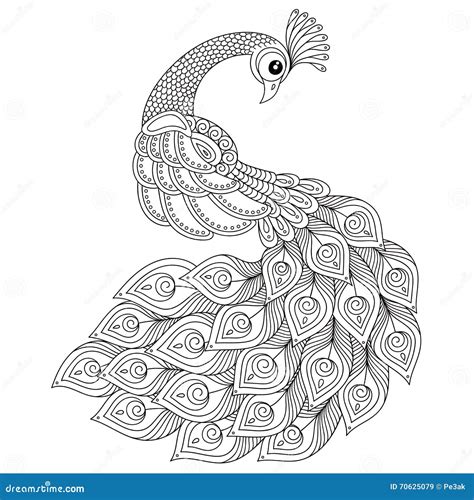 Peacock Adult Antistress Coloring Page Black And White Hand Drawn Doodle For Coloring Book