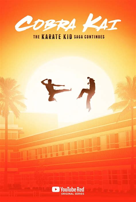 Photos Et Affiches De La Série Cobra Kai Allociné