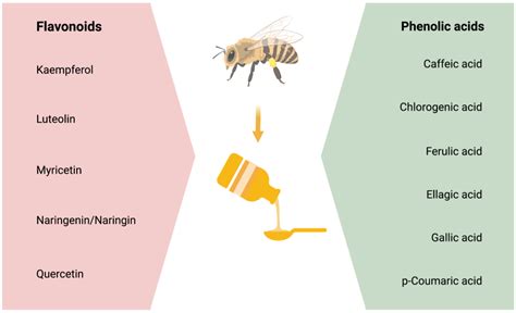 Antioxidants Free Full Text Honey And Alzheimers Diseasecurrent