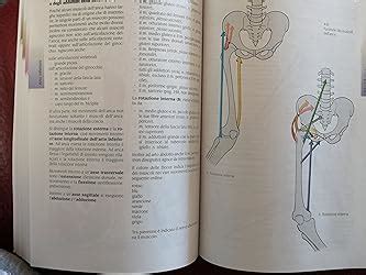 Atlante Tascabile Di Anatomia Umana Apparato Locomotore Vol 1