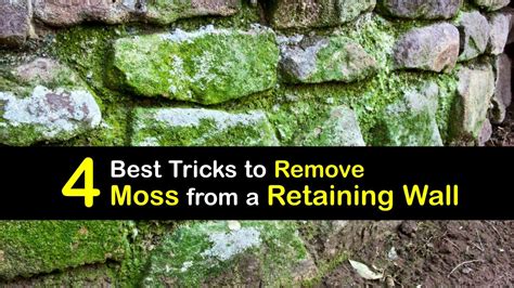 Moss Cleaning Tips For Removing Moss From A Retaining Wall