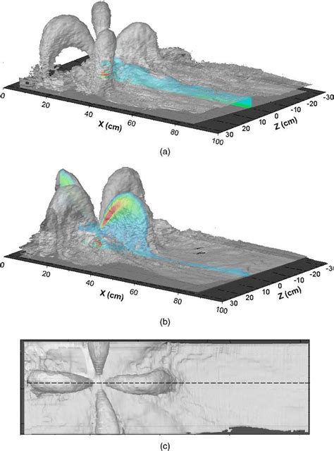 Typical Time Averaged Three Dimensional Flow Visualizations For Rosette