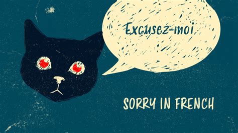 How To Say Sorry In French With Audio