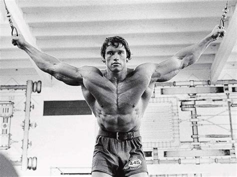 Arnold Schwarzenegger Workout Plan Pdf - Infoupdate.org