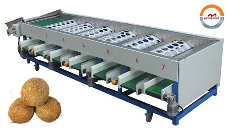 Automatic Coconut Grading Machine Auto Industrial Coconuts Size Sorting