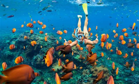 Descubre el significado de soñar con agua clara y peces abundantes