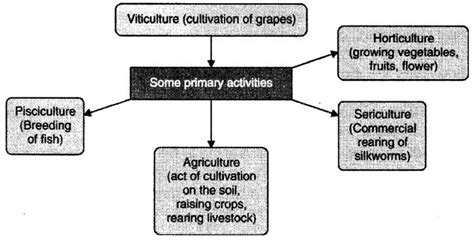 Ncert Solution For Class 8 Agriculture Geography Chapter 4 Leverage Edu