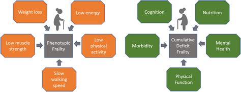 Two Approaches To Identifying Frailty In This Figure We Describe Two Download Scientific