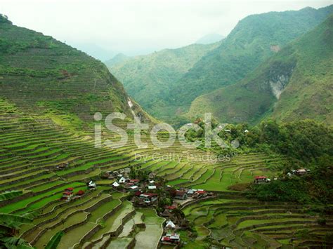 Philippine Rice Terraces Stock Photo | Royalty-Free | FreeImages