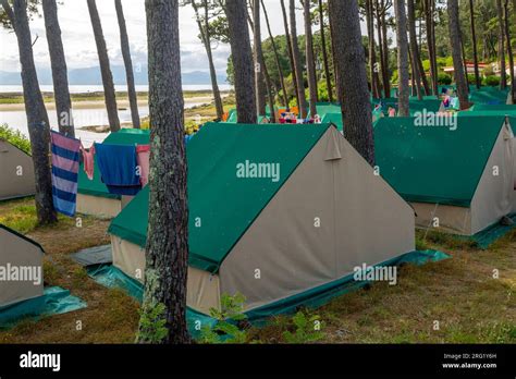 Tents in campsite, Camping Islas Cies, Isla del Faro, Cies Islands, Galicia, Spain Stock Photo ...