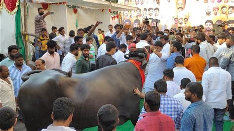 Hyderabad Chappal Bazar Ladu Yadav Bahubali Commando Bulls