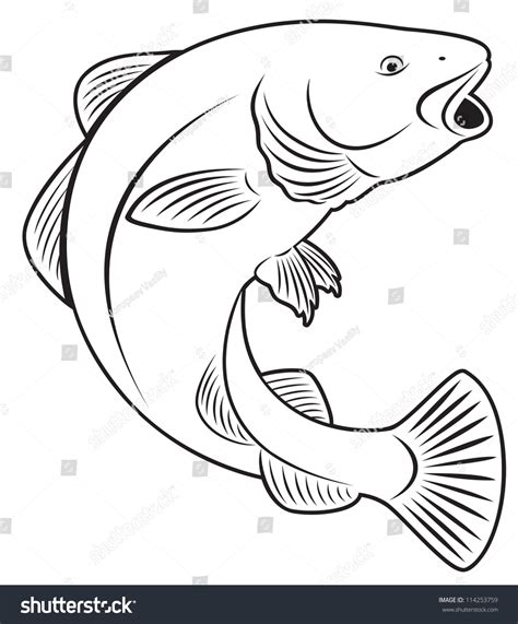 The Figure Shows A Cod Fish Stock Vector Illustration