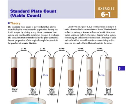 Solved Text Exercise Standard Plate Count Viable Count Theory