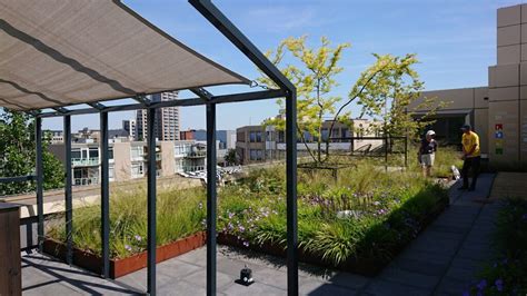 Daktuin ForumStadhuis Op Open Monumentendag ArchitectuurPunt Zoetermeer