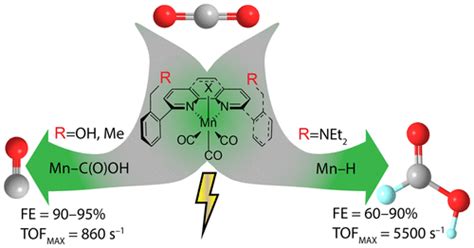 Ligand Controlled Product Selectivity In Electrochemical Carbon Dioxide