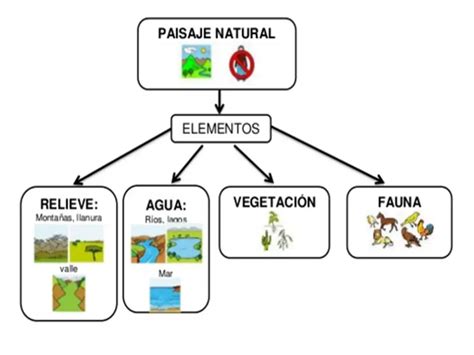 Que Elementos Forman El Paisaje Rural Curioso Datos Random