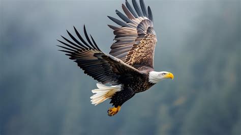 Premium Photo A Stunning Shot Of A Bald Eagle Soaring Through The Sky