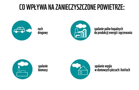 Klimatowi i nam zagraża to samo zanieczyszczone powietrze WWF Polska